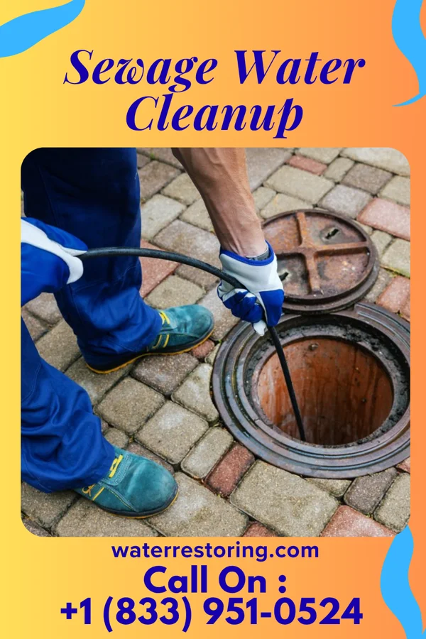Sewage Water Cleanup in Skidaway Island, GA